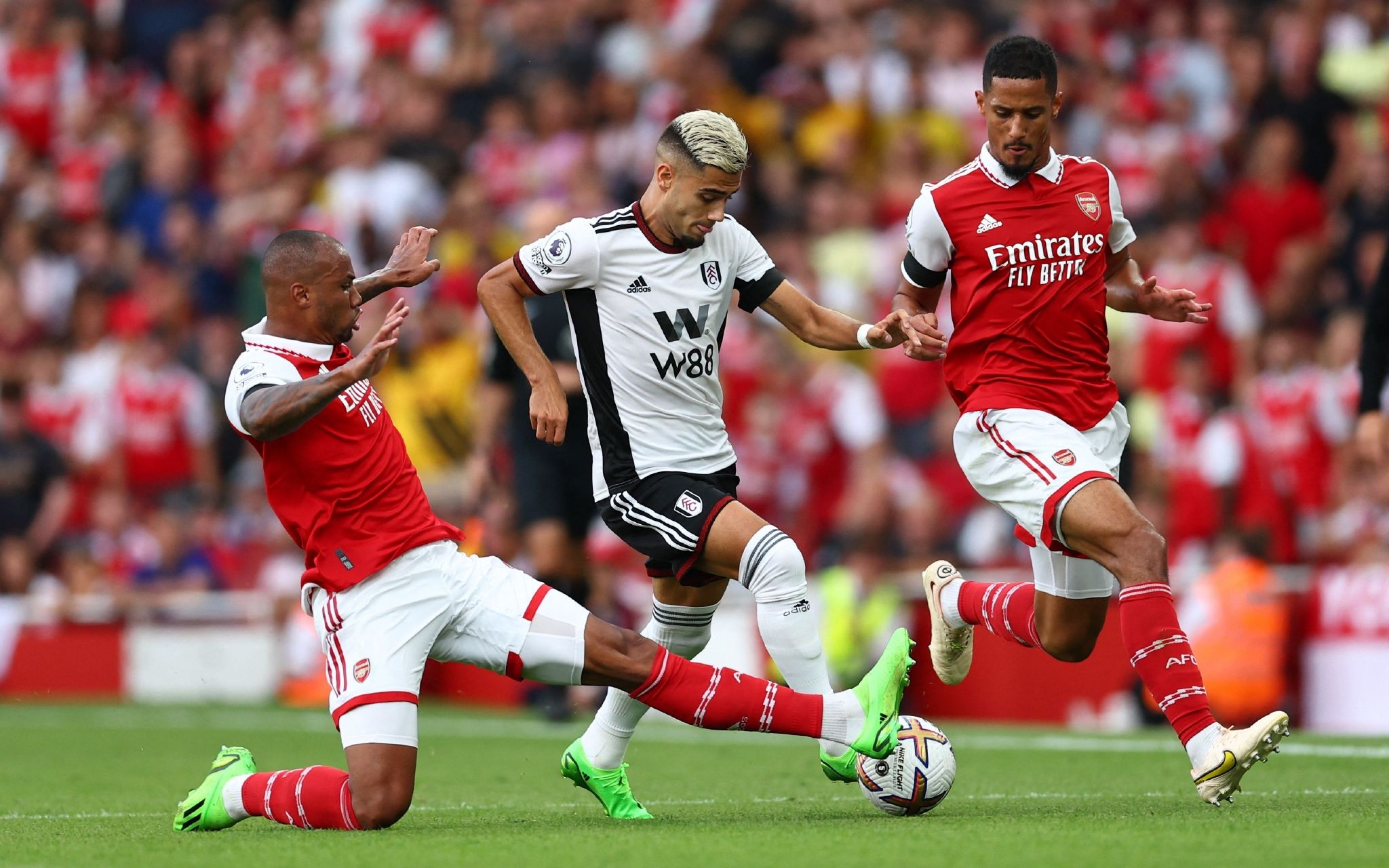 种奖励机制 种奖励机制