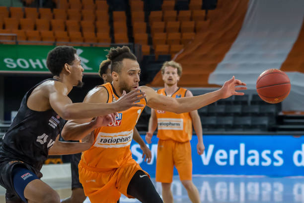 频频引进年 频频引进年